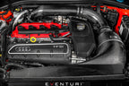 Eventuri Carbon Fiber Luchtinlaat Audi RS3 8V Gen.1