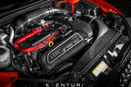 Eventuri Carbon Fiber Luchtinlaat Audi RS3 8V Gen.1