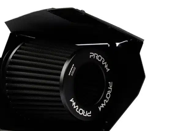 Presa d’aria in carbonio Ramair per BMW M135i, M235i, M2, 335i, 435i F20/F30/F87 ecc.
