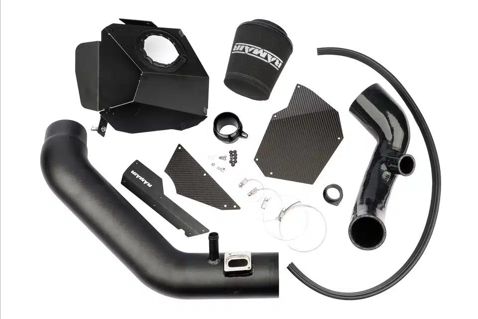 Presa d’aria in carbonio Ramair per BMW M135i, M235i, M2, 335i, 435i F20/F30/F87 ecc.