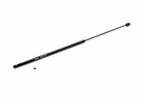 RacingLine Bonnet/Hood Gas Strut VW Golf MK8